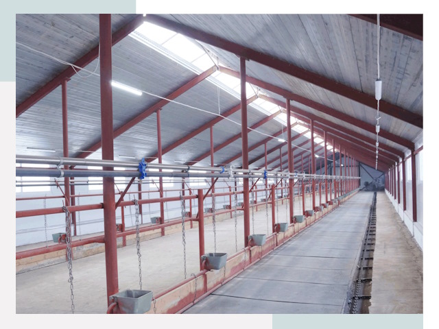 Строительство коровников в Елизове от 608 руб.