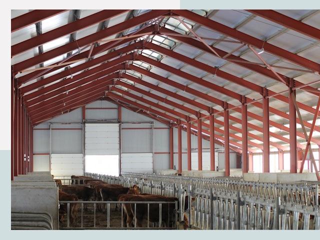 Строительство коровников в Елизове