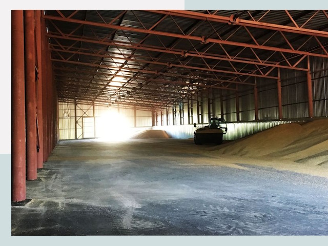 Строительство зернохранилищ в Елизове