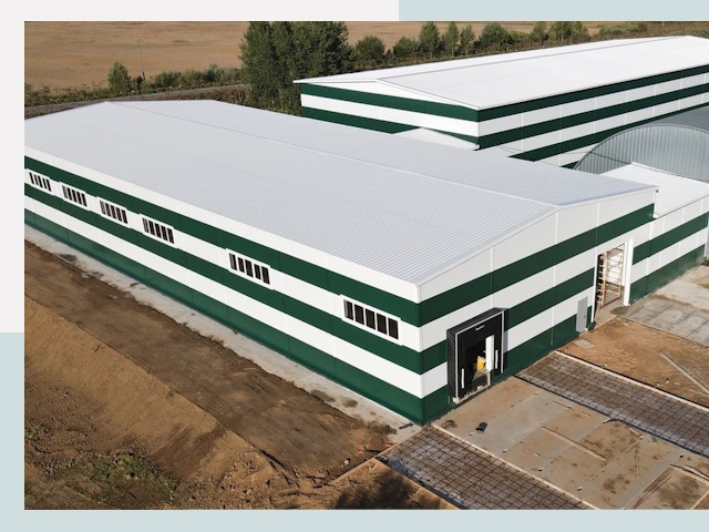 Строительство овощехранилищ в Елизове