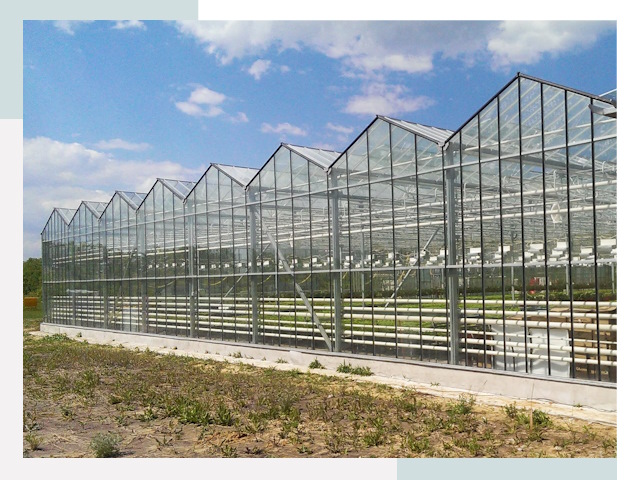 Строительство теплиц в Елизово от 608 руб. за м²