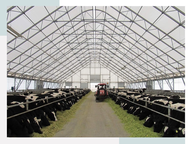 Тентовые коровники в Елизове от 608 руб. - Надежно и доступно