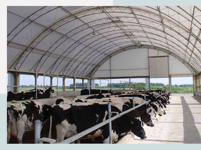 Тентовые коровники в Елизове
