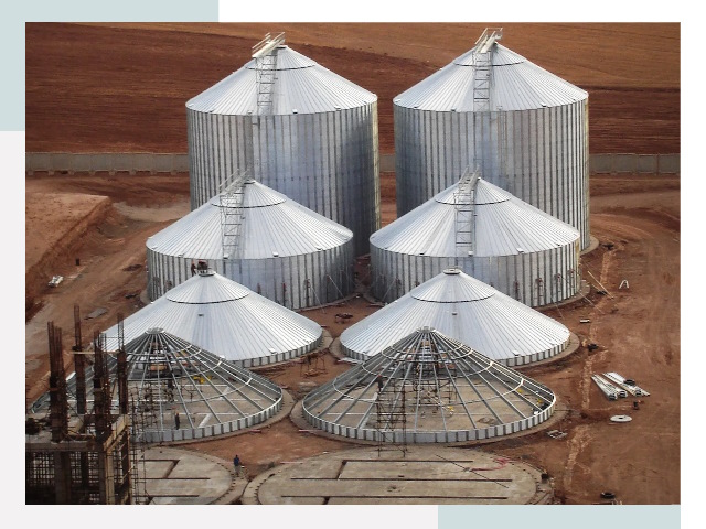 Строительство зерновых силосов в Елизове